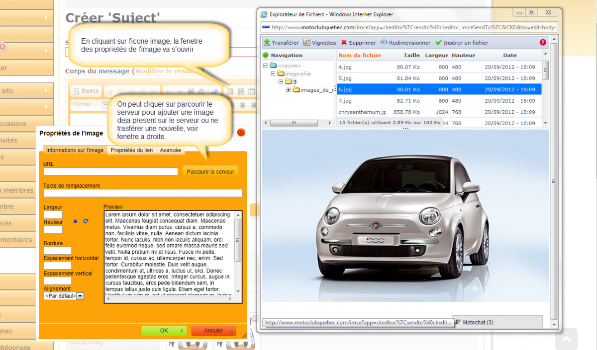 imgprofile 2 profilo editor3