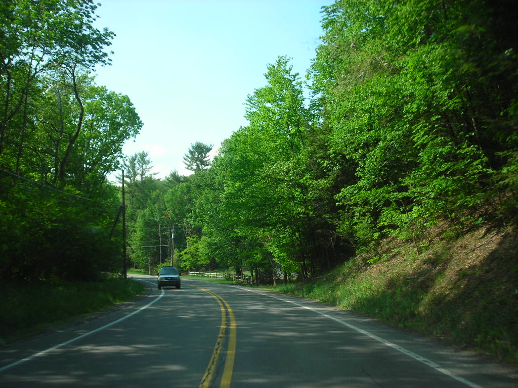 PA 534 1 PA 534 Pic