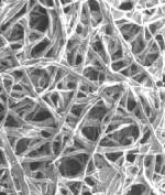 fiber3